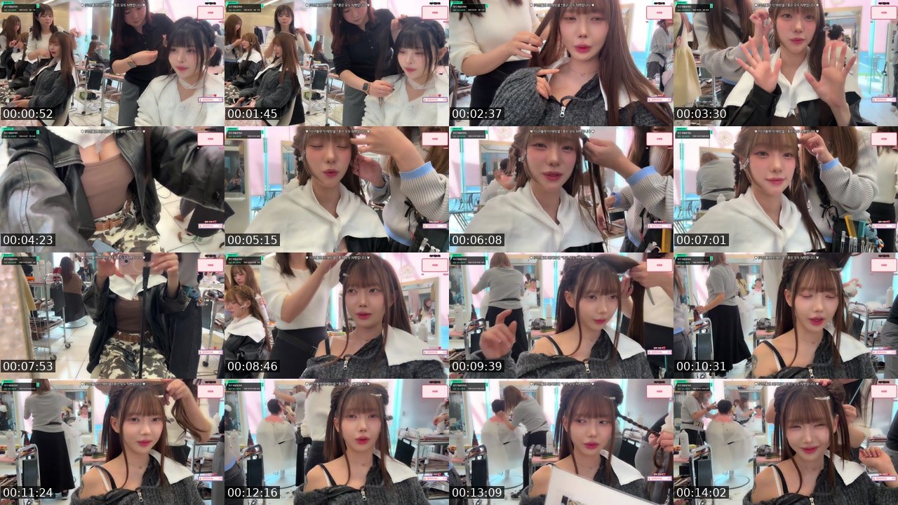 Contact-sheet preview of 단비야_'s SOOP Live recording