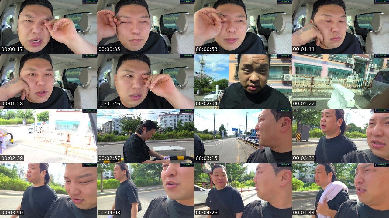 Contact-sheet preview of 설영욱z's SOOP Live recording