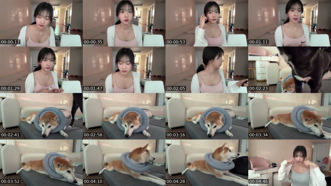 Contact-sheet preview of 으악이네's SOOP Live recording