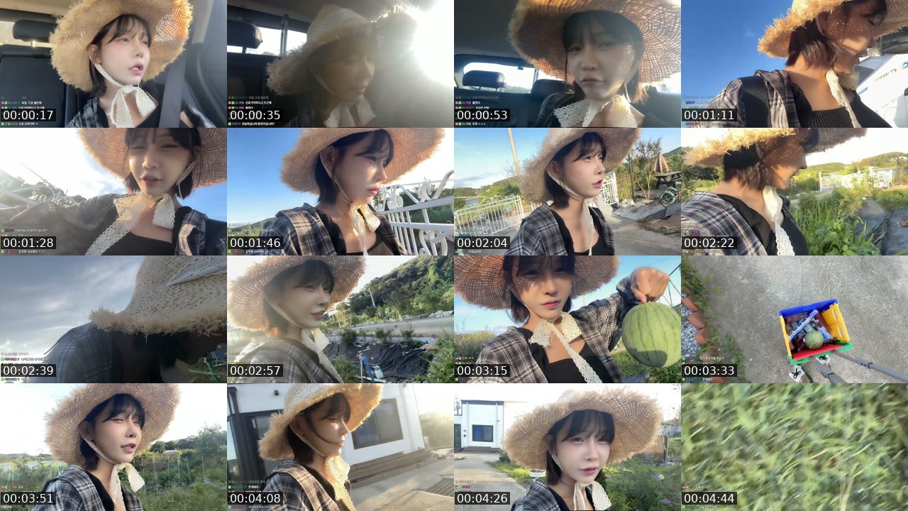 Contact-sheet preview of 하두링's SOOP Live recording
