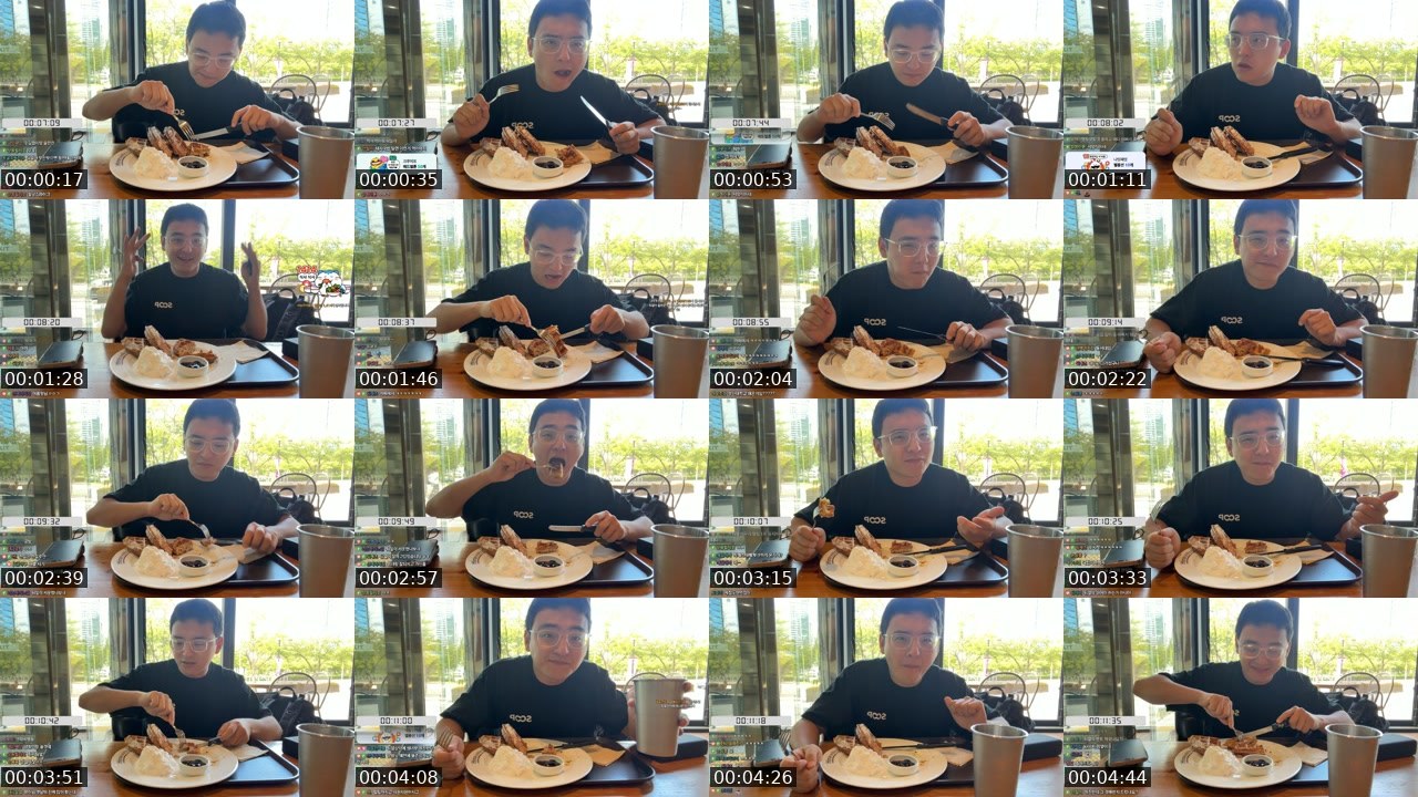 Contact-sheet preview of 한둬얼's SOOP Live recording