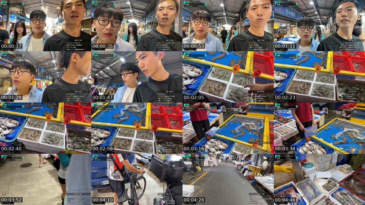 Contact-sheet preview of 댐보이's SOOP Live recording